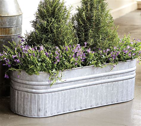 metal planters for outdoors galvanized